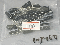 �d���R���f���T�i10uF/16V�j�@�i20�j